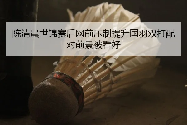 陈清晨世锦赛后网前压制提升国羽双打配对前景被看好