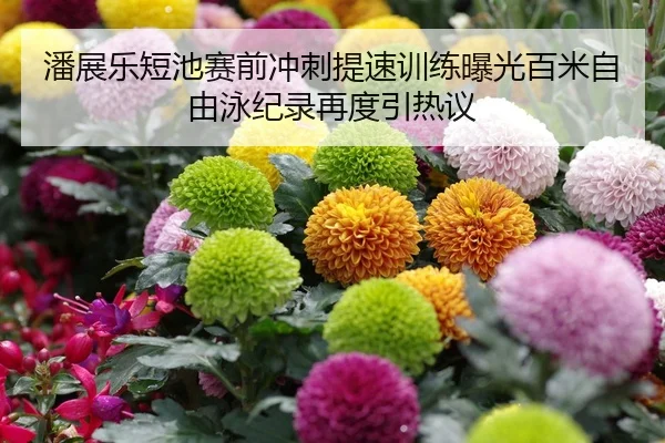 潘展乐短池赛前冲刺提速训练曝光百米自由泳纪录再度引热议